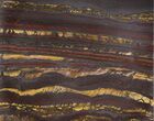 Tiger Iron Stromatolite Shower Tile - Billion Years Old #48787-1